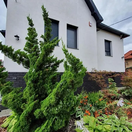 Villa Tweed House *